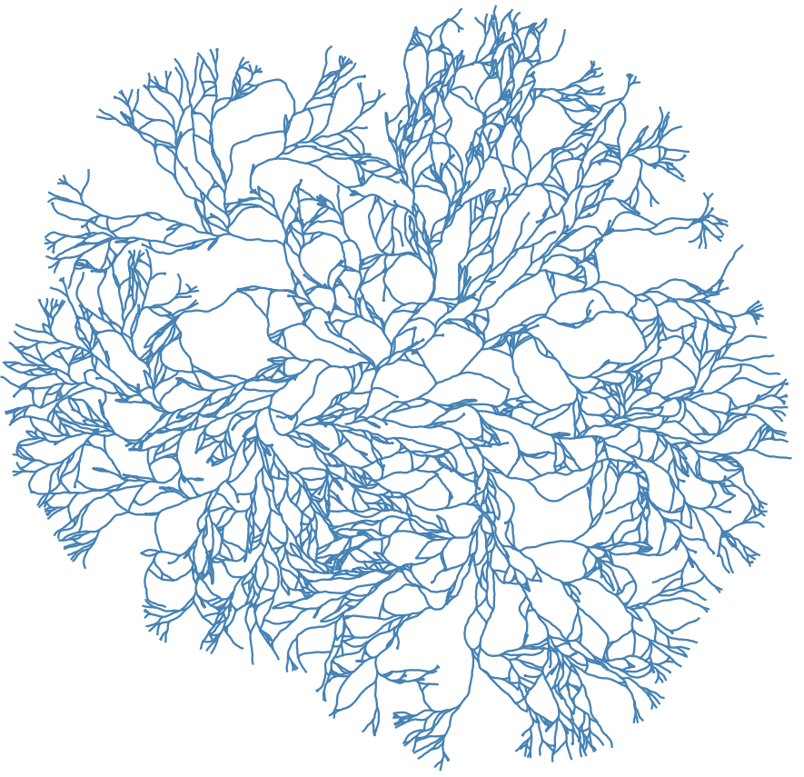 Branching Annihilating Random Walker Model of Angiogenesis